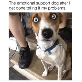 Emotional Support Dog 